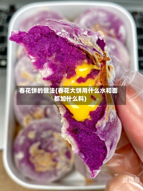 春花饼的做法(春花大饼用什么水和面都加什么料)
