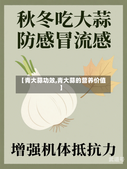 【青大蒜功效,青大蒜的营养价值】