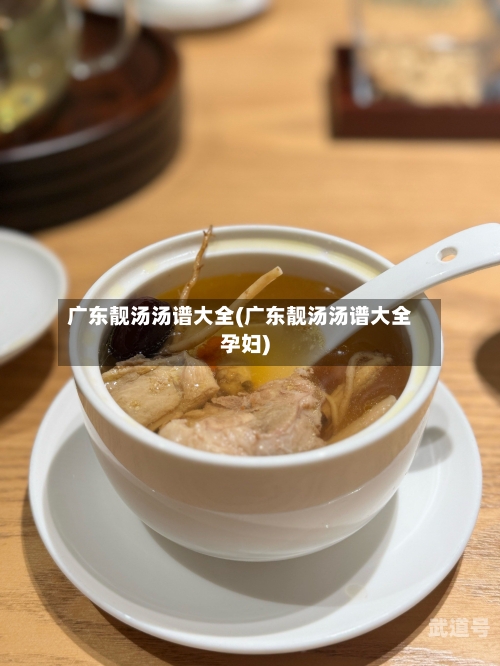 广东靓汤汤谱大全(广东靓汤汤谱大全孕妇)