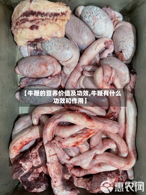 【牛鞭的营养价值及功效,牛鞭有什么功效和作用】