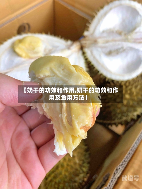 【奶干的功效和作用,奶干的功效和作用及食用方法】
