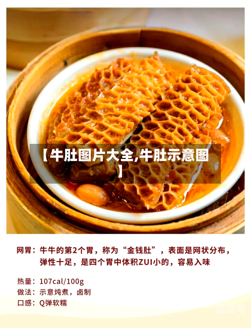 【牛肚图片大全,牛肚示意图】