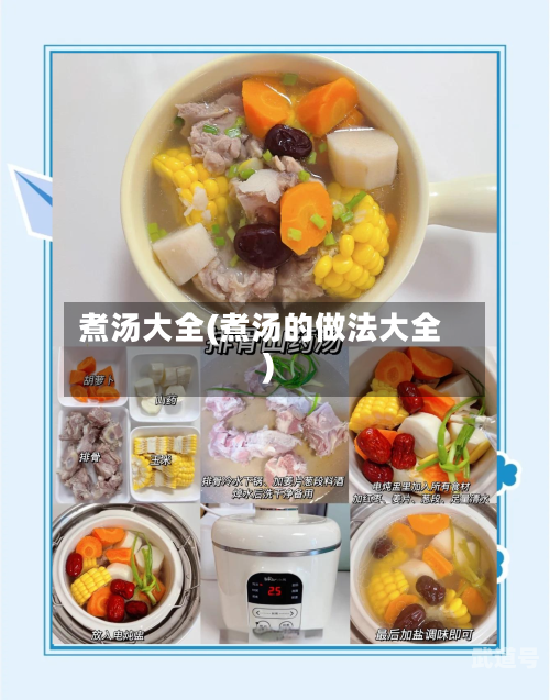 煮汤大全(煮汤的做法大全)