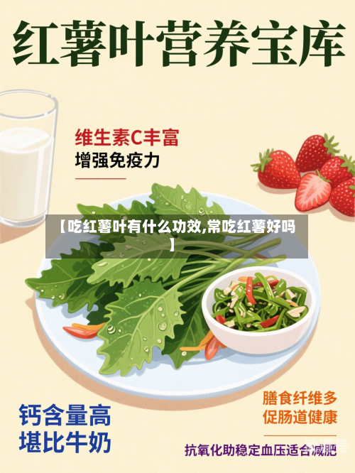 【吃红薯叶有什么功效,常吃红薯好吗】