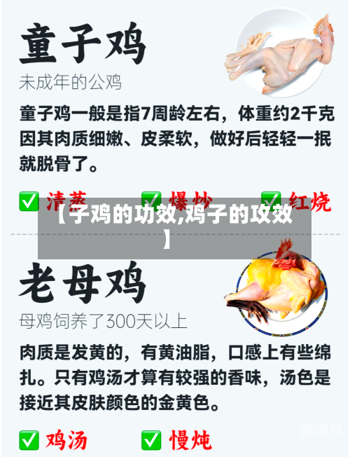 【子鸡的功效,鸡子的攻效】