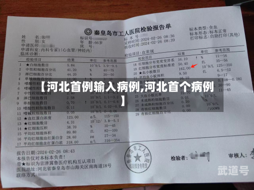 【河北首例输入病例,河北首个病例】