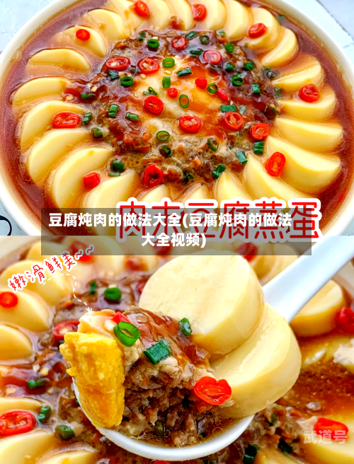 豆腐炖肉的做法大全(豆腐炖肉的做法大全视频)