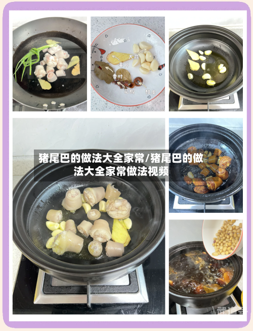 猪尾巴的做法大全家常/猪尾巴的做法大全家常做法视频