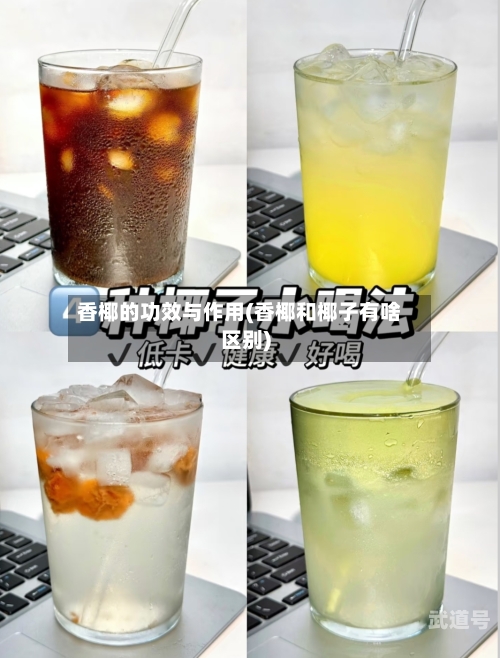 香椰的功效与作用(香椰和椰子有啥区别)