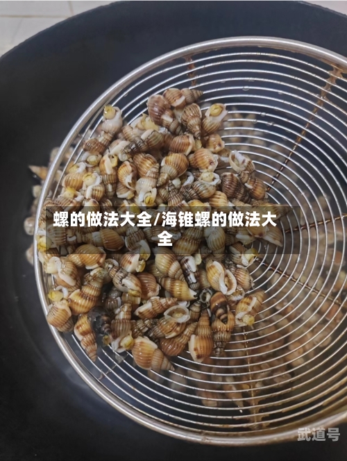 螺的做法大全/海锥螺的做法大全