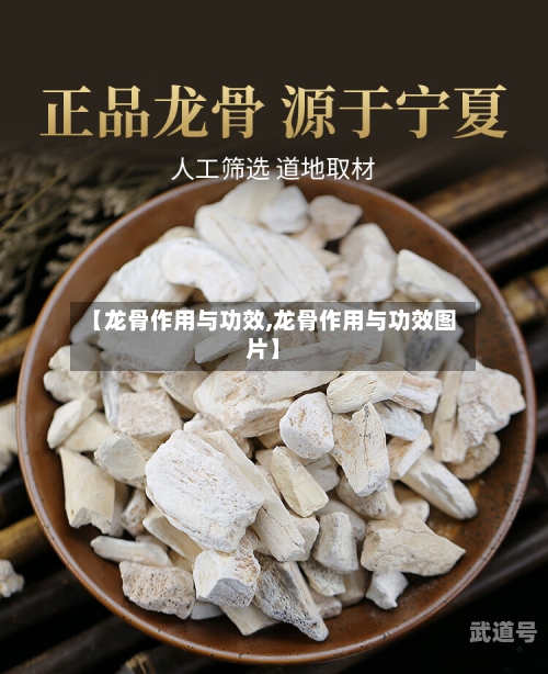 【龙骨作用与功效,龙骨作用与功效图片】