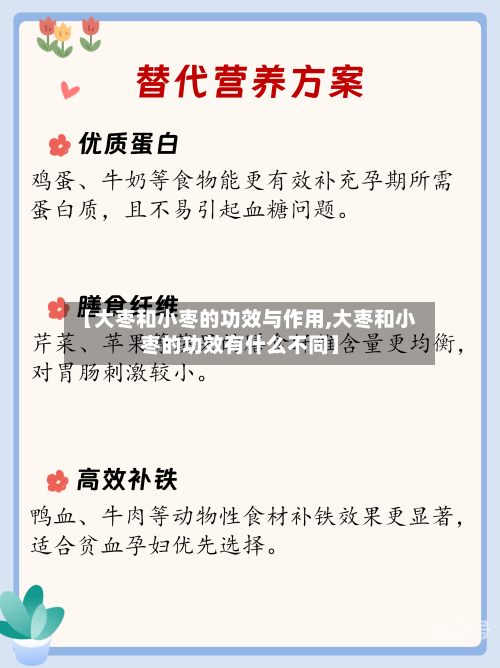 【大枣和小枣的功效与作用,大枣和小枣的功效有什么不同】