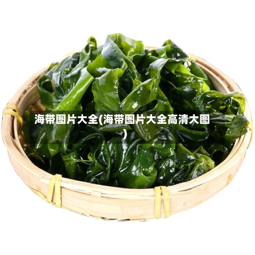 海带图片大全(海带图片大全高清大图)