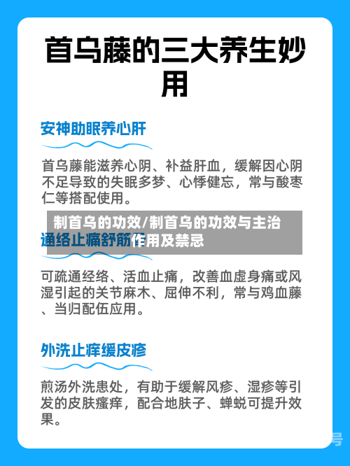 制首乌的功效/制首乌的功效与主治作用及禁忌