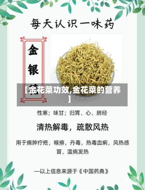 【金花菜功效,金花菜的营养】