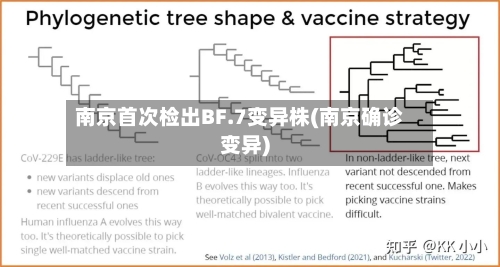 南京首次检出BF.7变异株(南京确诊变异)