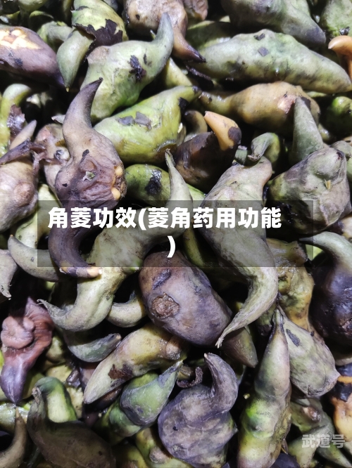 角菱功效(菱角药用功能)