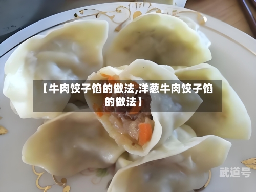 【牛肉饺子馅的做法,洋葱牛肉饺子馅的做法】