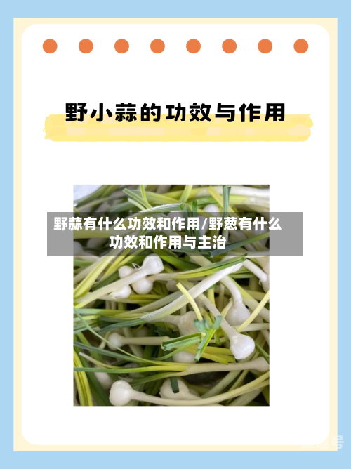 野蒜有什么功效和作用/野葱有什么功效和作用与主治