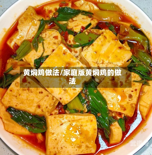 黄焖鸡做法/家庭版黄焖鸡的做法