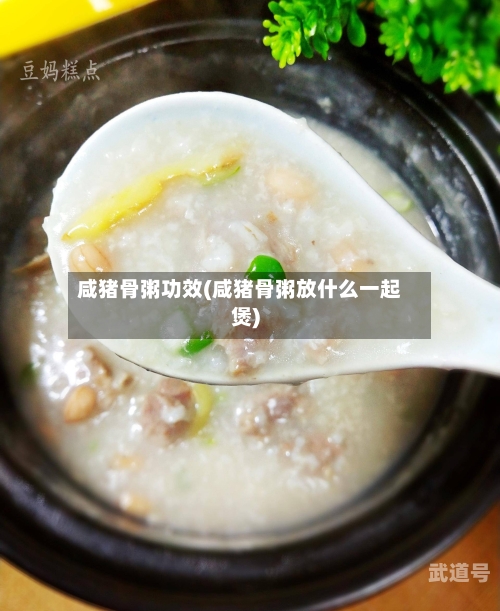 咸猪骨粥功效(咸猪骨粥放什么一起煲)
