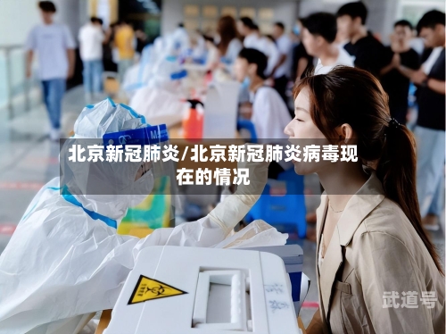 北京新冠肺炎/北京新冠肺炎病毒现在的情况
