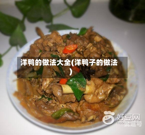 洋鸭的做法大全(洋鸭子的做法)