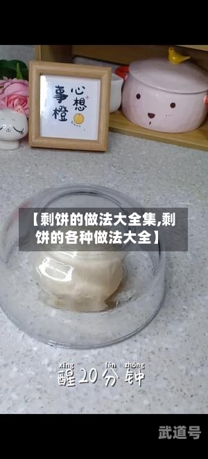 【剩饼的做法大全集,剩饼的各种做法大全】