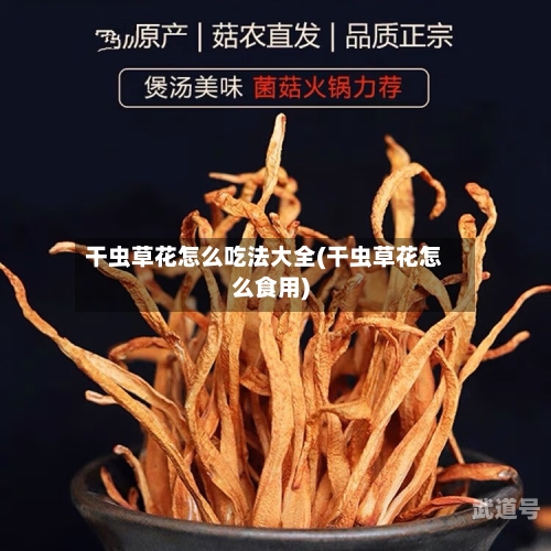 干虫草花怎么吃法大全(干虫草花怎么食用)