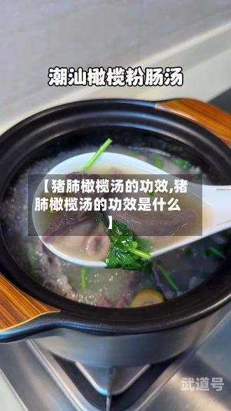 【猪肺橄榄汤的功效,猪肺橄榄汤的功效是什么】