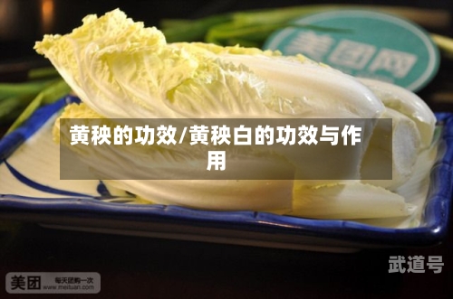 黄秧的功效/黄秧白的功效与作用