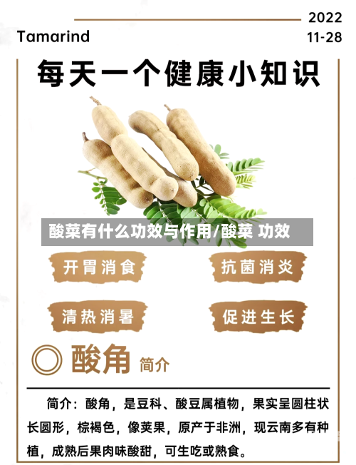 酸菜有什么功效与作用/酸菜 功效