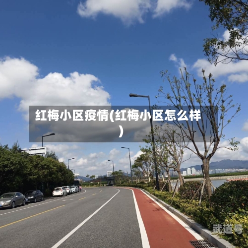 红梅小区疫情(红梅小区怎么样)
