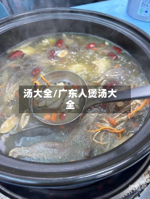 汤大全/广东人煲汤大全