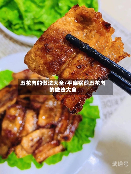 五花肉的做法大全/平底锅煎五花肉的做法大全