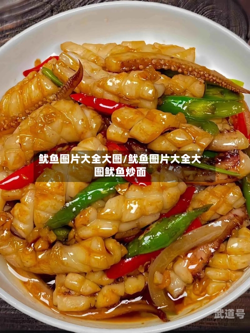 鱿鱼图片大全大图/鱿鱼图片大全大图鱿鱼炒面
