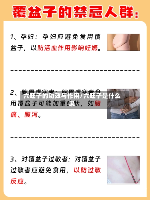 六旺子的功效与作用/六旺子是什么果