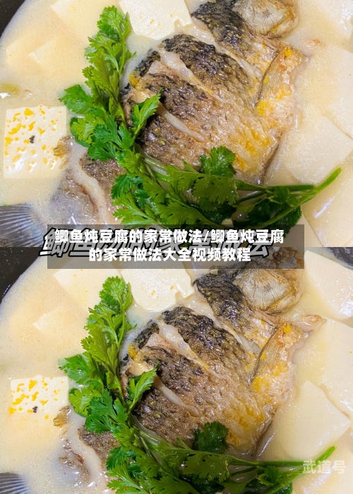 鲫鱼炖豆腐的家常做法/鲫鱼炖豆腐的家常做法大全视频教程