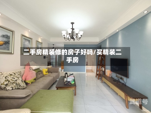 二手房精装修的房子好吗/买精装二手房