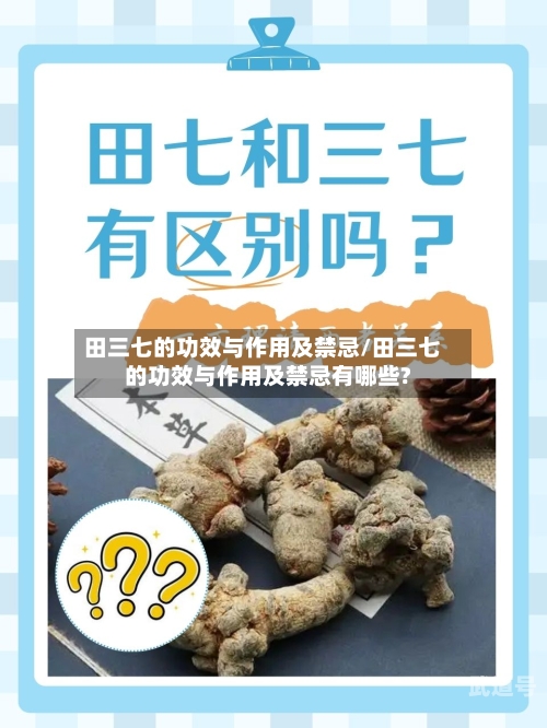 田三七的功效与作用及禁忌/田三七的功效与作用及禁忌有哪些?