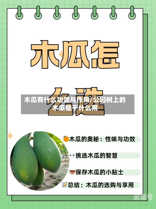 木瓜有什么功效与作用/公园树上的木瓜能干什么用