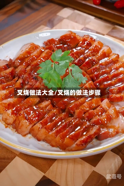 叉烧做法大全/叉烧的做法步骤