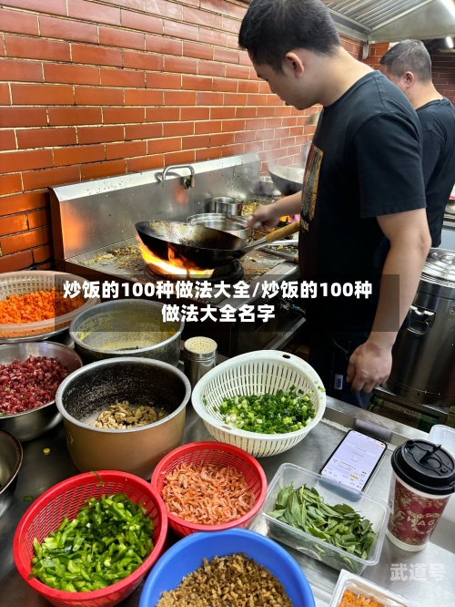 炒饭的100种做法大全/炒饭的100种做法大全名字
