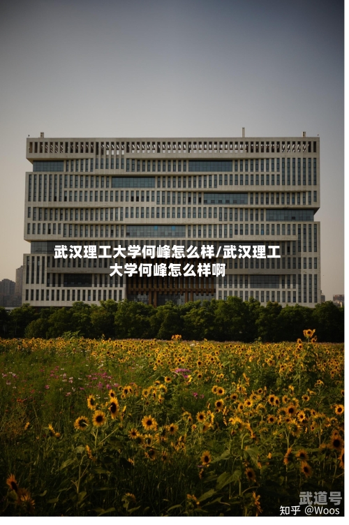 武汉理工大学何峰怎么样/武汉理工大学何峰怎么样啊
