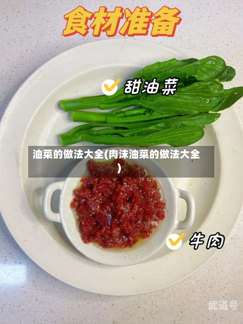 油菜的做法大全(肉沫油菜的做法大全)