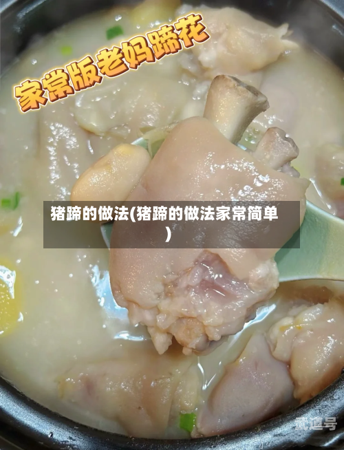 猪蹄的做法(猪蹄的做法家常简单)
