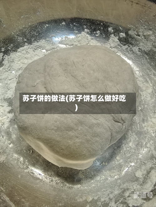 苏子饼的做法(苏子饼怎么做好吃)