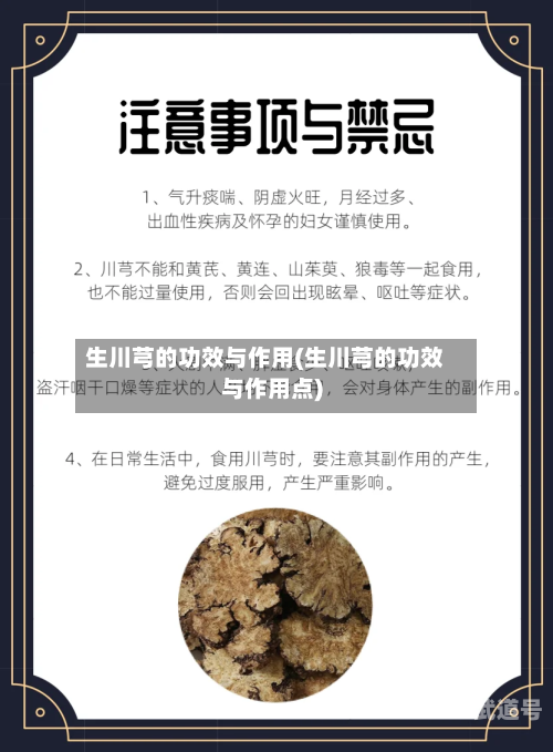 生川芎的功效与作用(生川芎的功效与作用点)