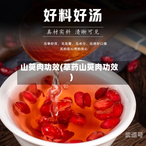 山萸肉功效(草药山萸肉功效)