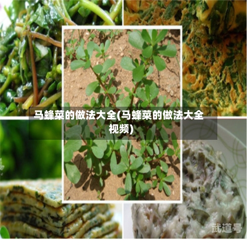 马蜂菜的做法大全(马蜂菜的做法大全视频)
